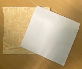 Team PuraSoy product photo