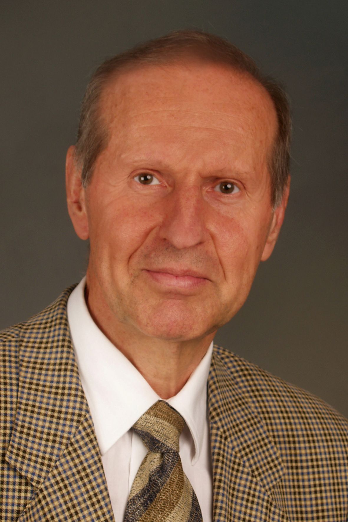 Brandl bust
