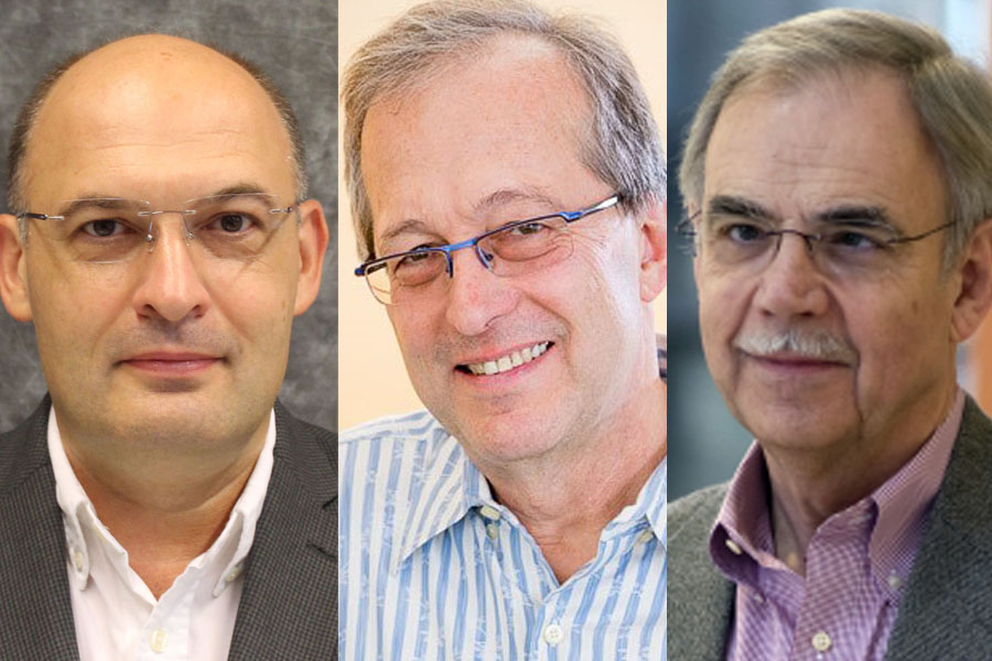 Photos of Zoltan Nagy, Gintaras Reklaitis and David Thompson