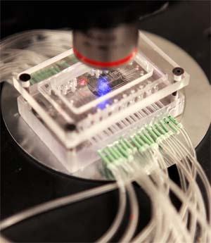 Purdue's Elmore Family School of Electrical and Computer Engineering
