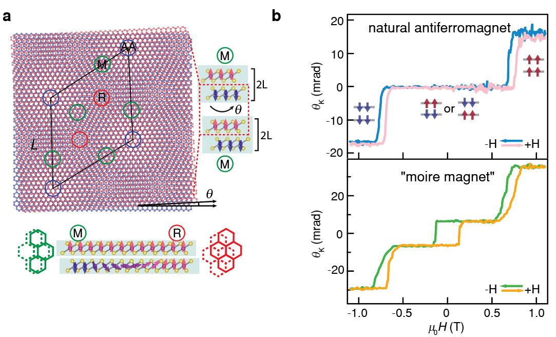 This is a two part illustration depicting the moir superlattice structure and MOKE results.