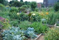 The Spring Garden