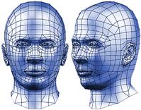 Photo of 3D printed heads