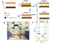 Graphic of lignin research