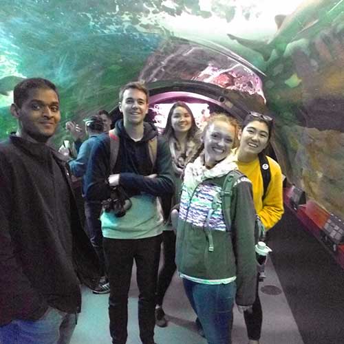 Visiting the San Sebastian Aquarium