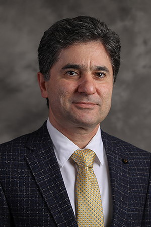 Sayed Mohamad  Soleimani Ziabari 